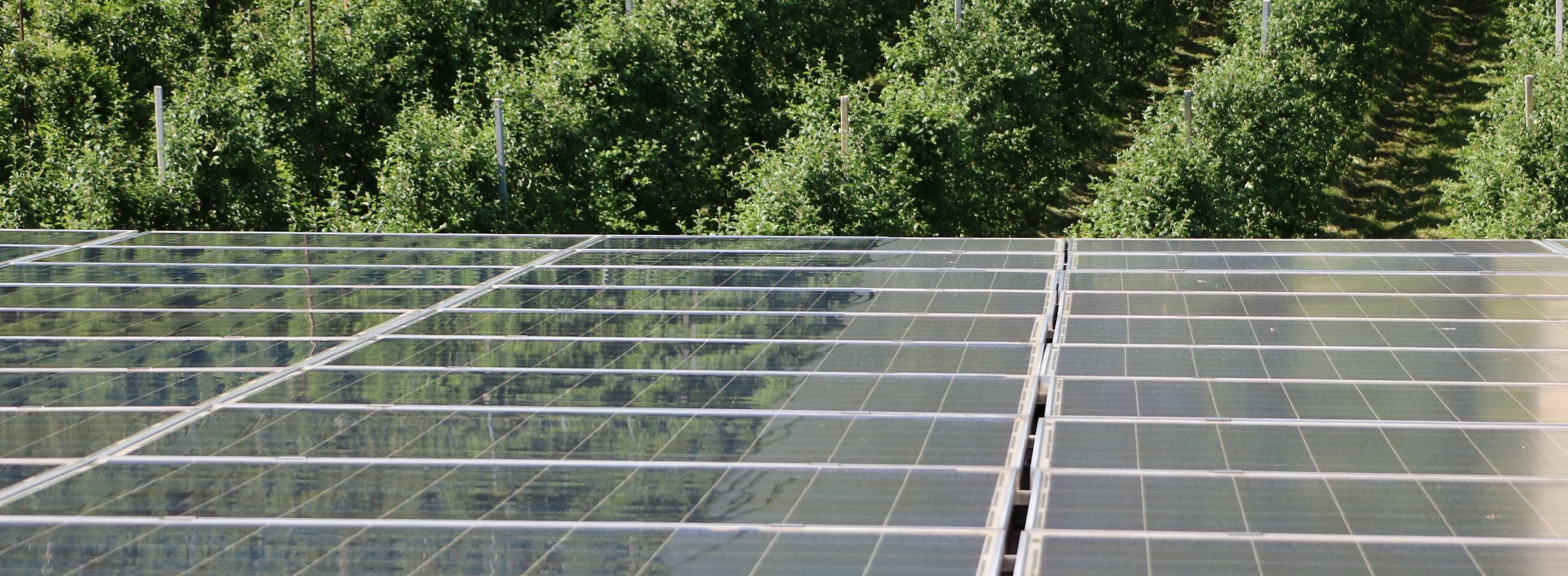 solar-panel-cleaning.it